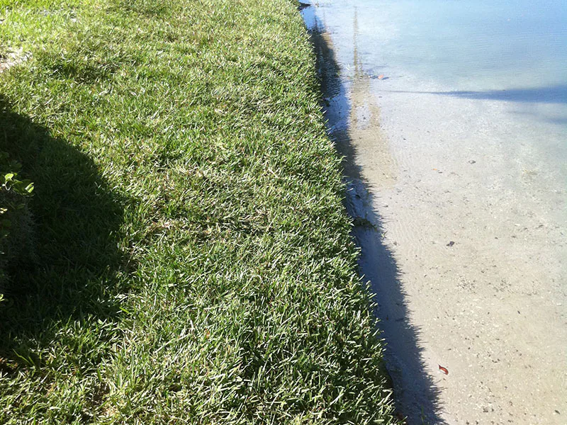 Completed shoreline restoration at a John's Island waterfront estate