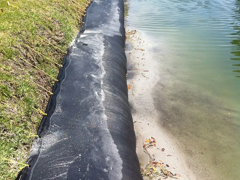 Living shoreline restoration along a John's Island waterfront